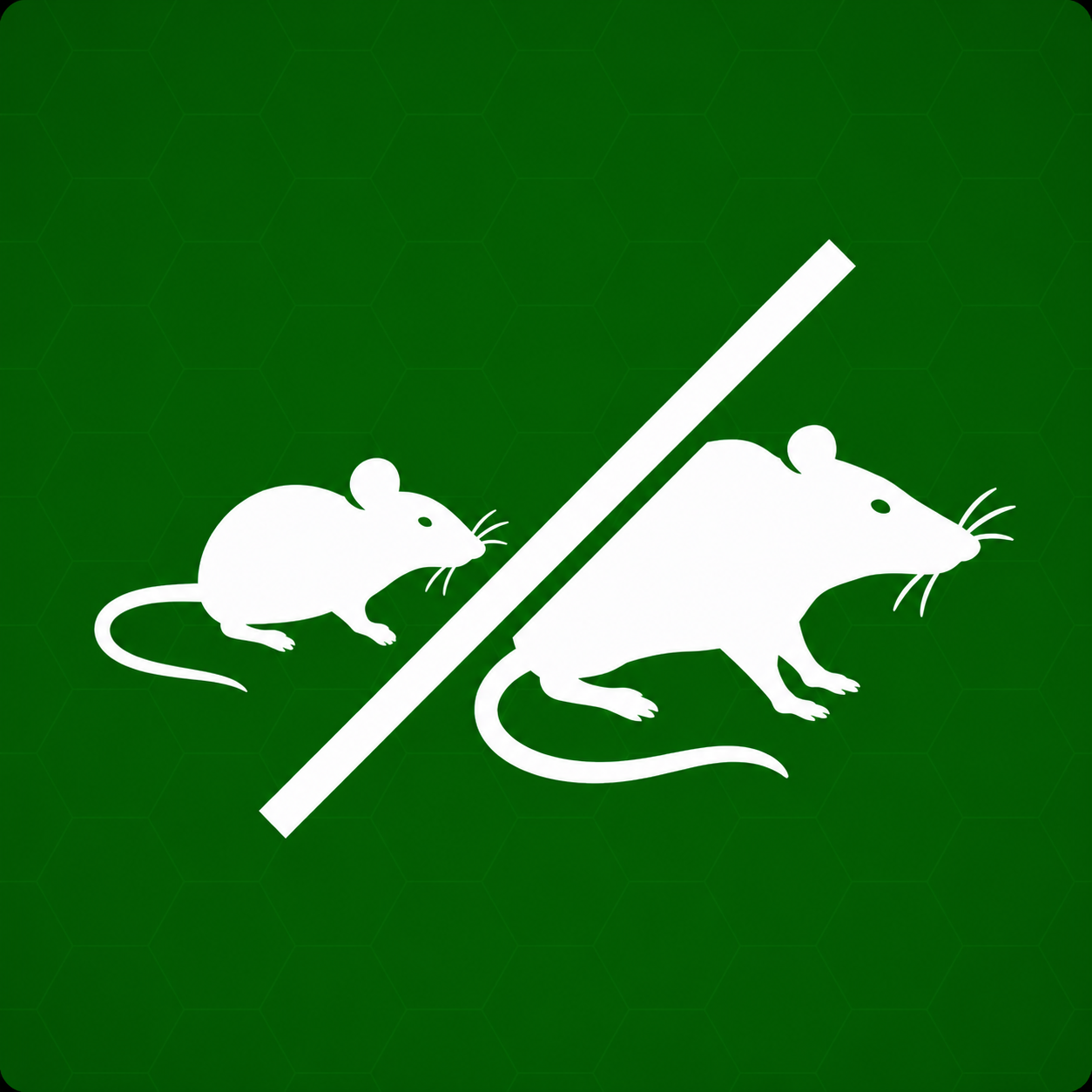 Souris et rats Image